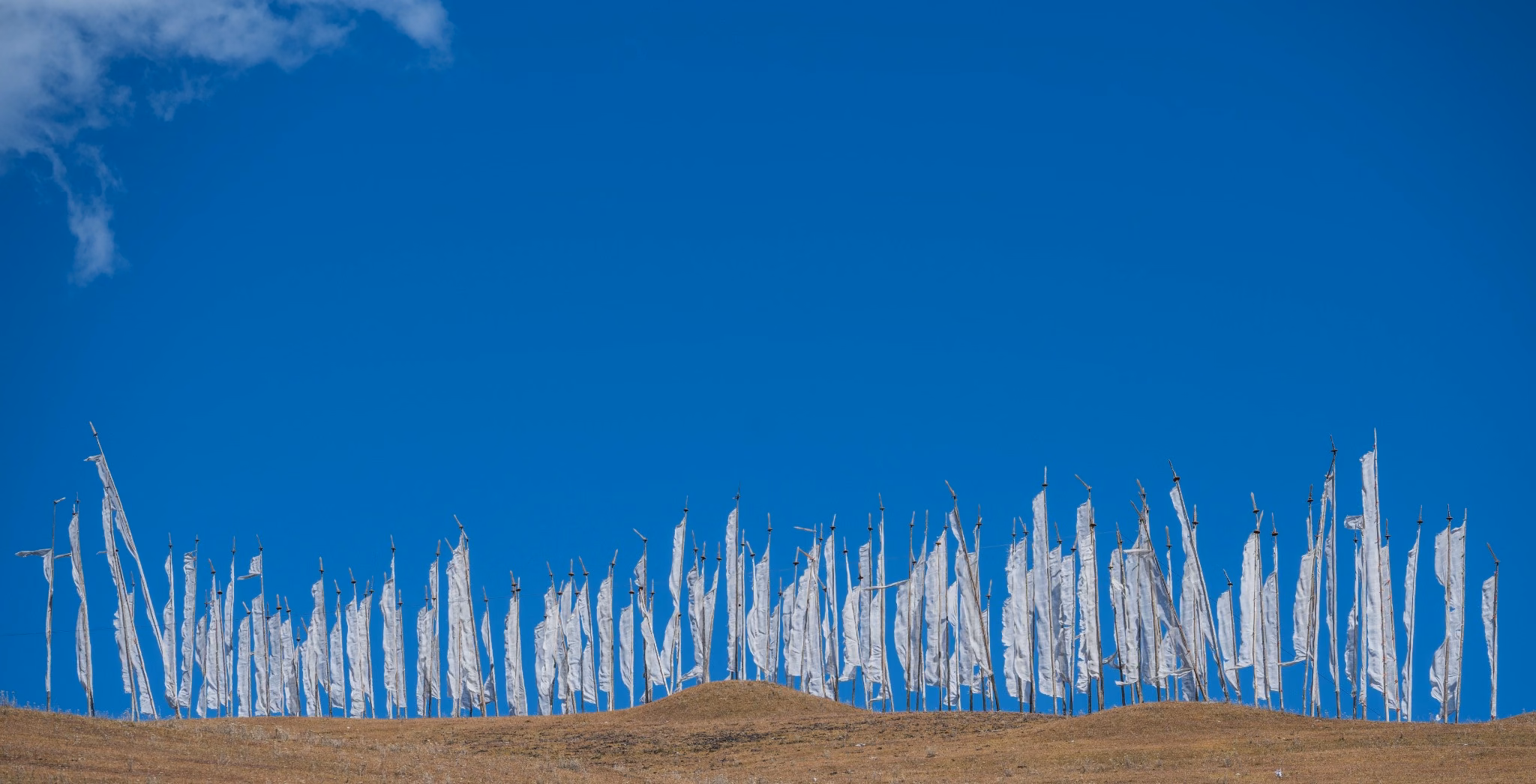 Tall white prayer flags along a grassy ridge beneath a clear blue sky.