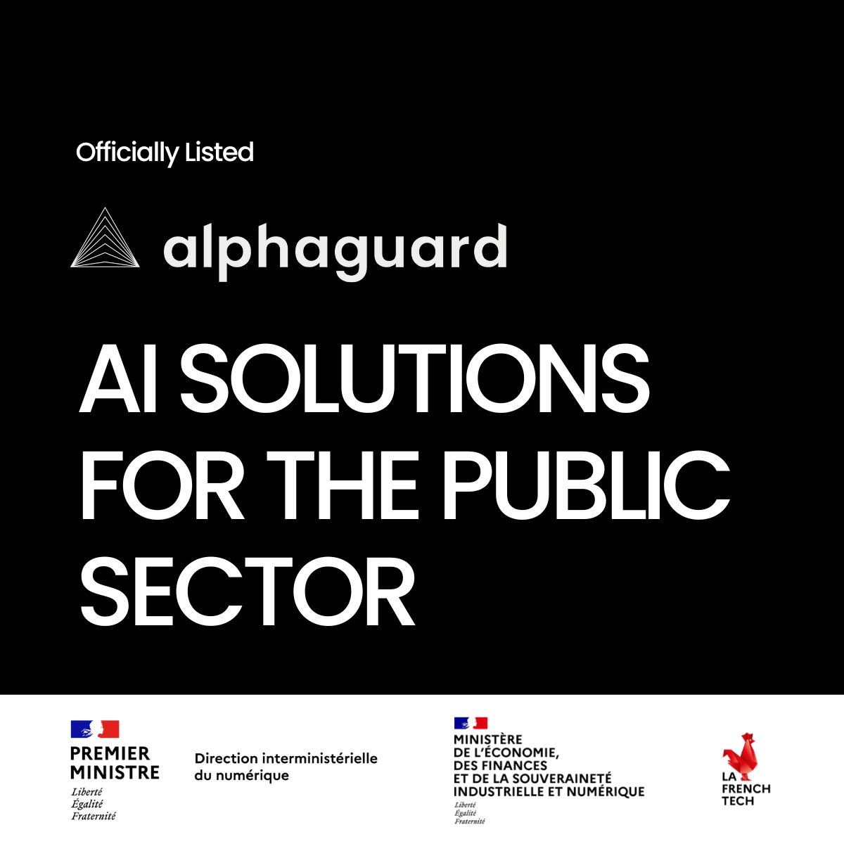 AI Solutions for the public sector