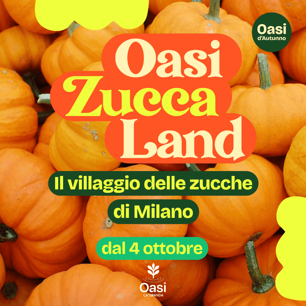 Oasi Zucca Land – Il villaggio delle zucche