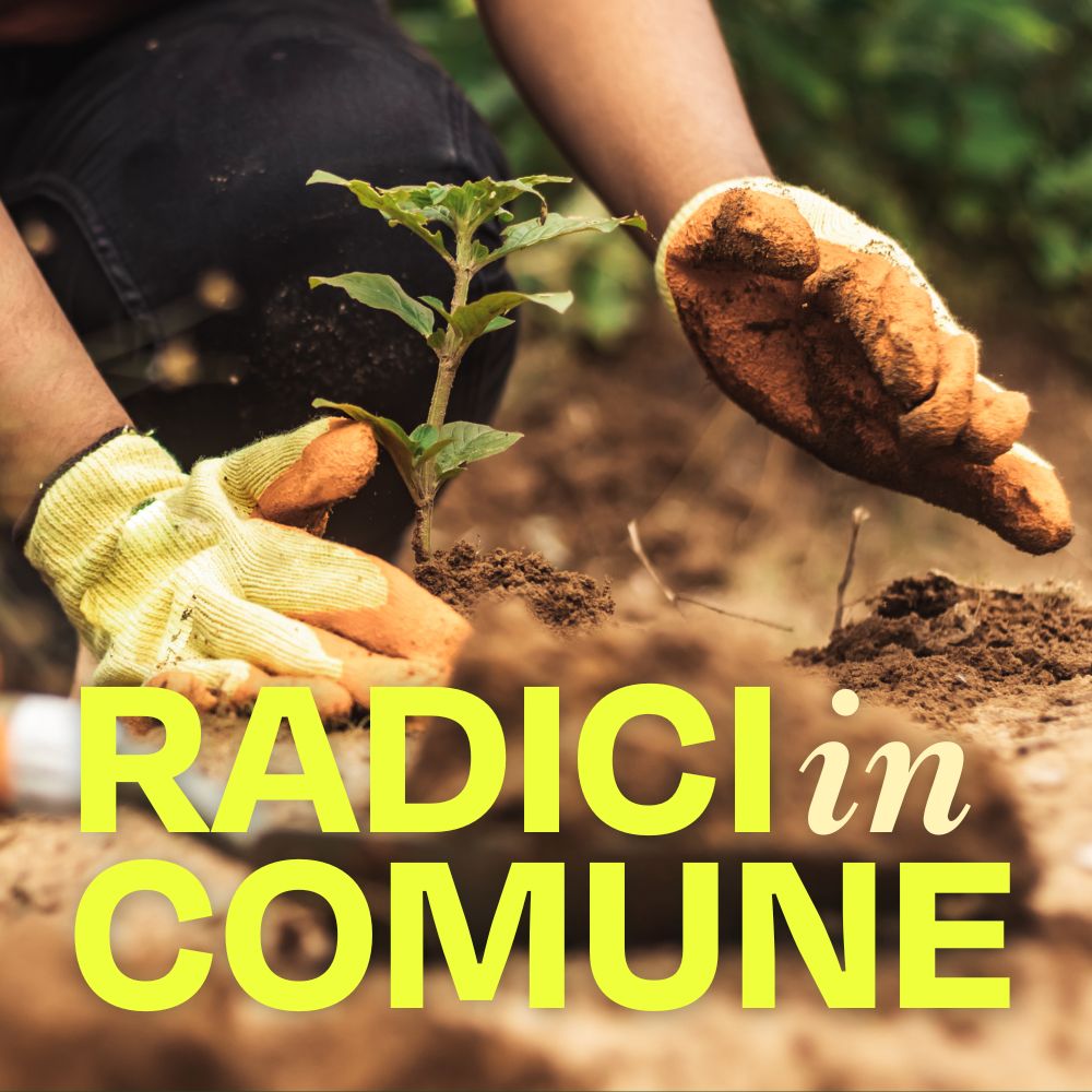 RADICI IN COMUNE