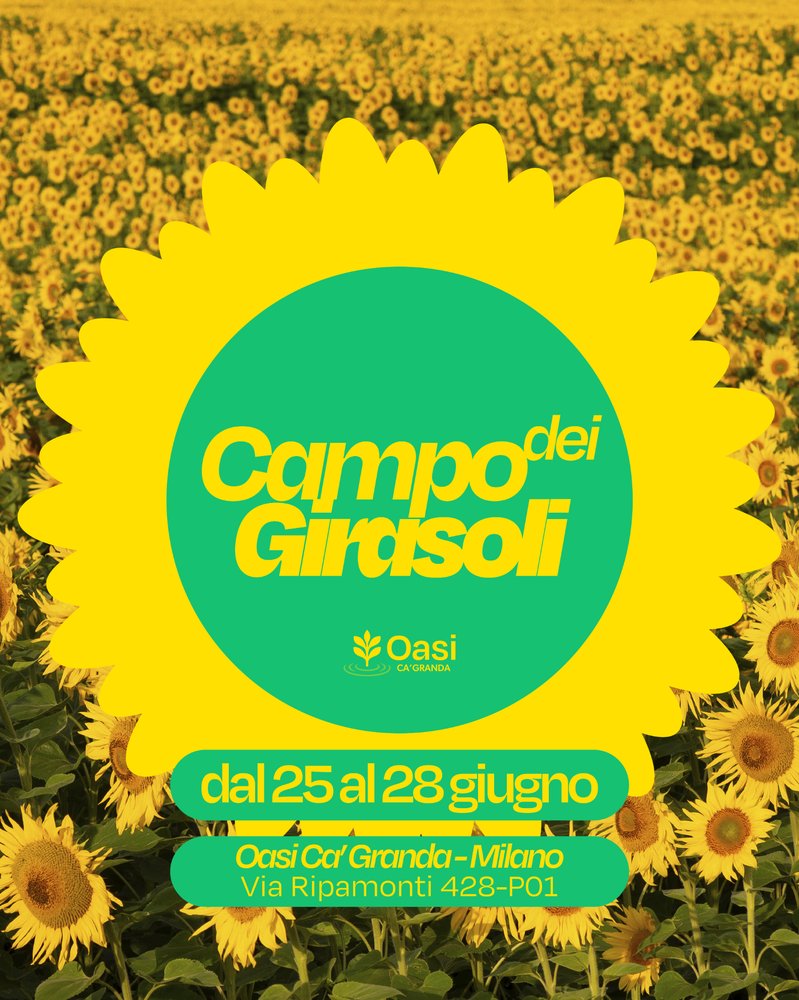 Campo dei Girasoli