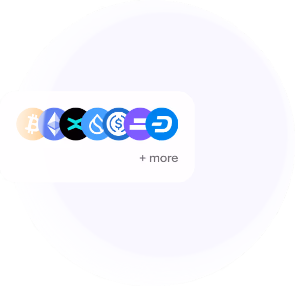 The image shows various cryptocurrency payment options, including Bitcoin, Ethereum, Tether, and others. These options are represented by their respective logos, with a "+ more" button to show additional currencies.