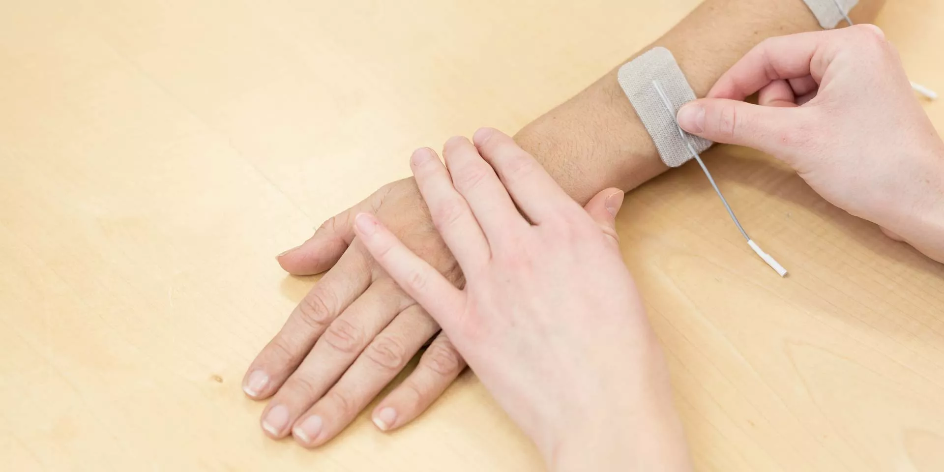 wsi imageoptim mindbeagle slide electodes01