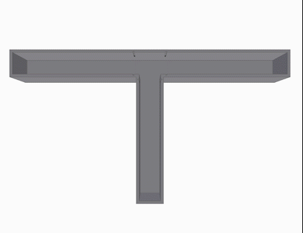 T-maze – investigation of spatial learning and memory