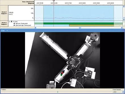 ethovision t maze pellet dispensers