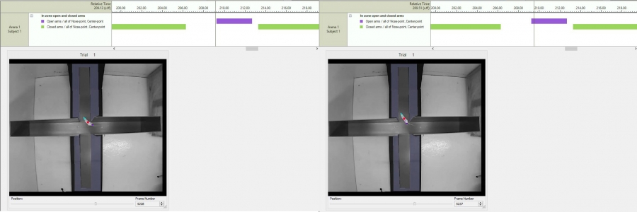 plus maze visualization12