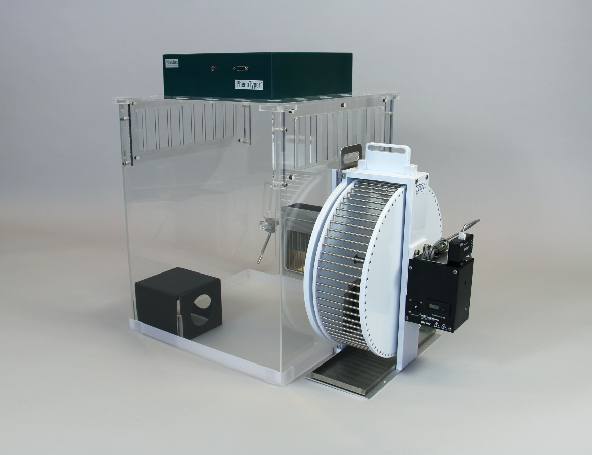 phenotyper running wheel rat
