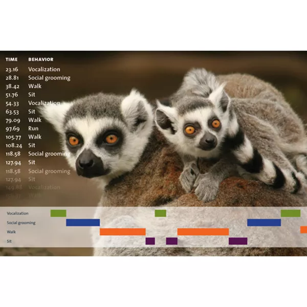 The Observer® XT for animal research