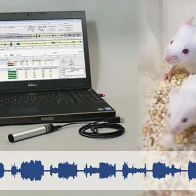 UltraVox XT – analyze rodent ultrasonic calls
