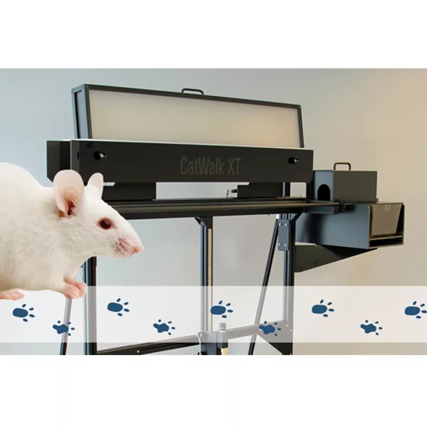 CatWalk XT – Gait analysis of small rodents using video tracking