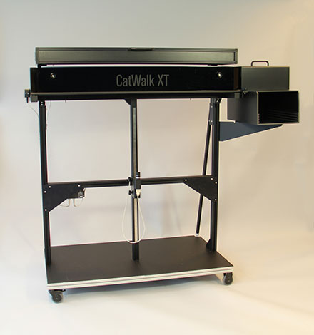 catwalk overview
