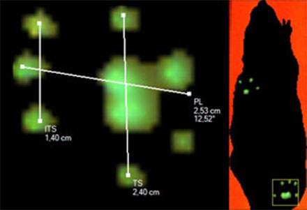 catwalk footprint measurements