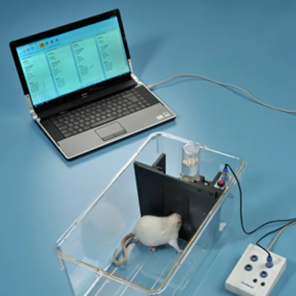 Orofacial Stimulation Test