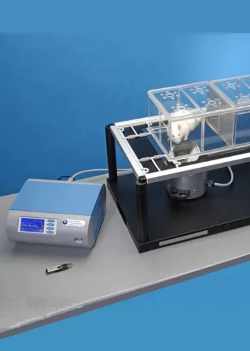 4965657af186b9092c7a96976ffe881c xl