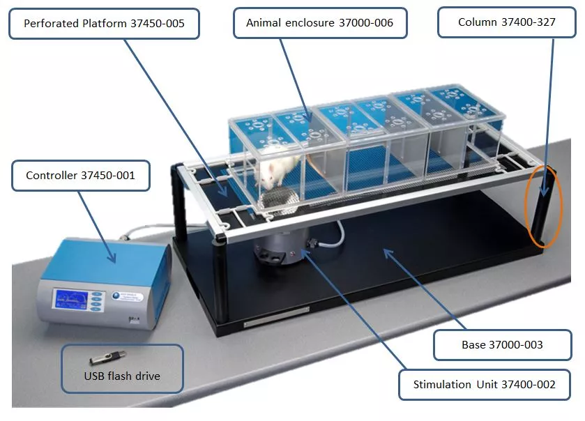 dynamic plantar components