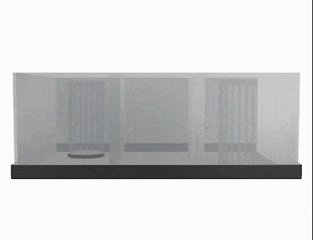 Sociability test – designed to test the social behavior