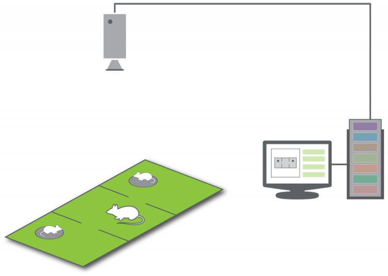 sociability   setup   modules uitgeschakeld