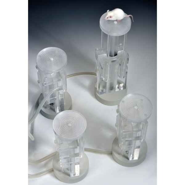 Atlantis Platforms for Morris Water Maze