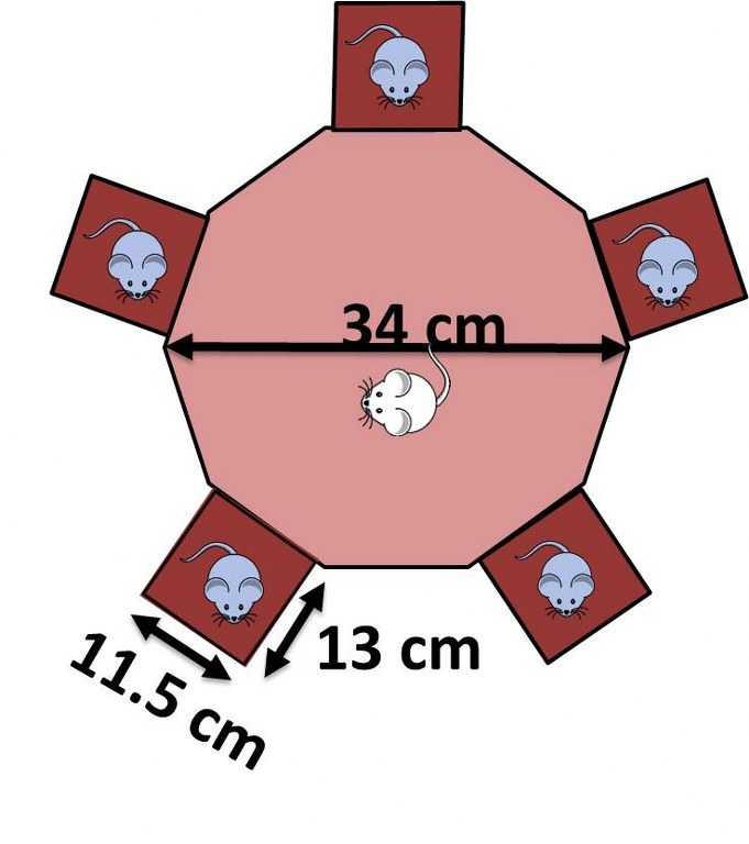 agora schematic uni aberdeen 681x768