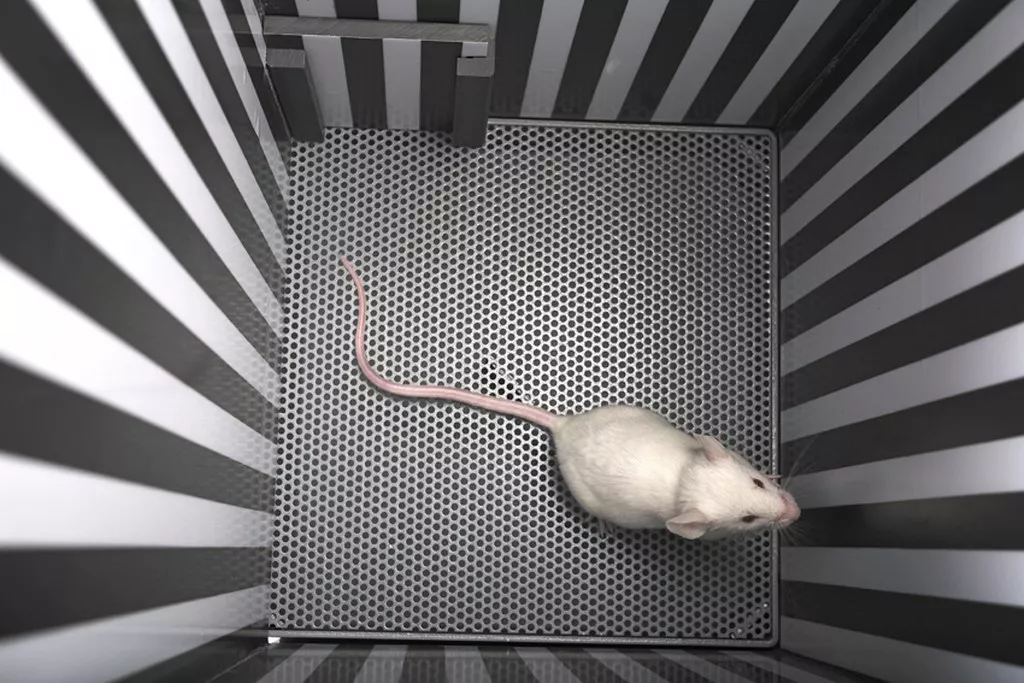 place preference1 1024x683