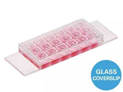 ibidi µ-Slide 18 Well Glass Bottom