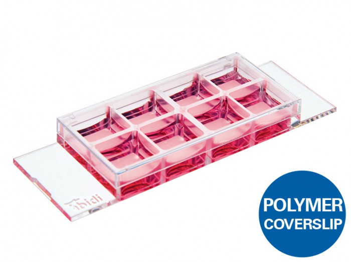 ibidi µ-Slide 8 Well