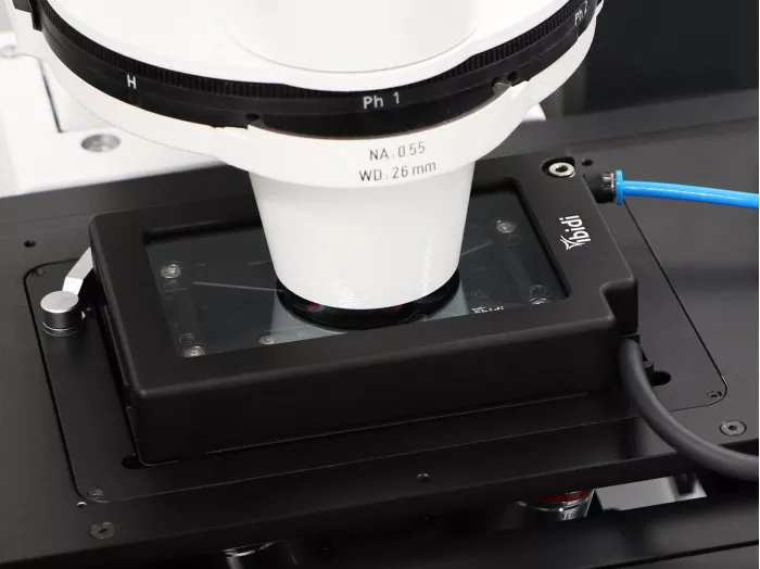 ibidi stage top incubator slidedish co2o2 silver line 2