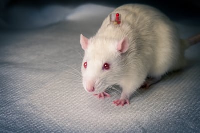 Using the Right Vascular Access