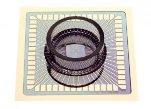 Microelectrode Arrays (MEA)