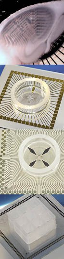 MEA with 60 electrodes