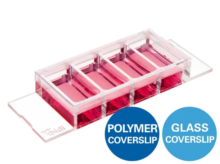 ibidi µ-Slide 4 Well