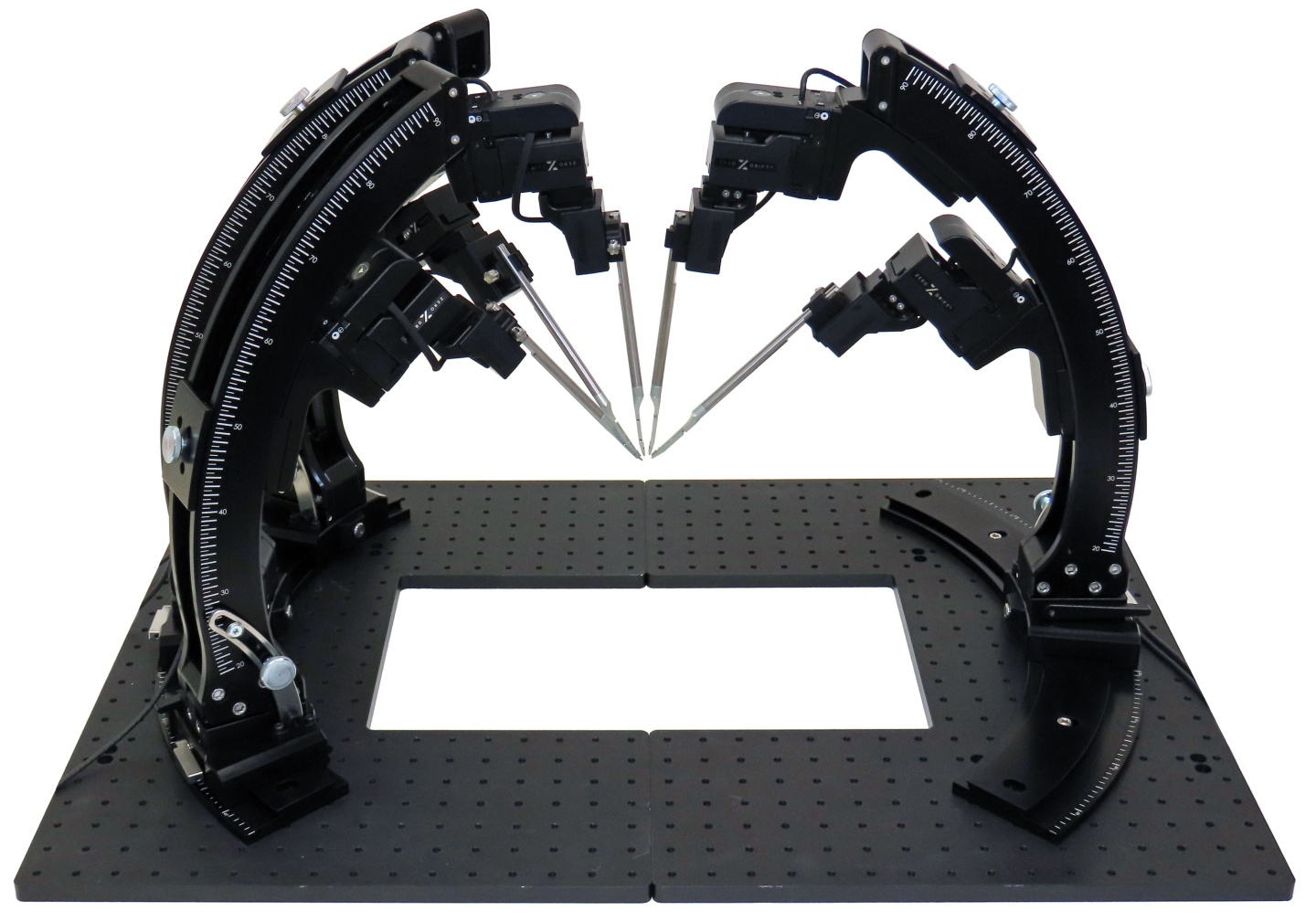 Multiprobe in vivo Rig