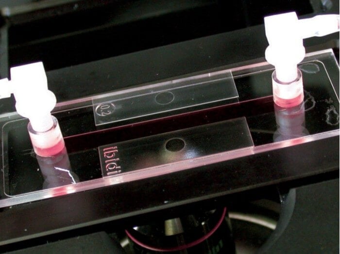 ibidi Pump System - incubator view