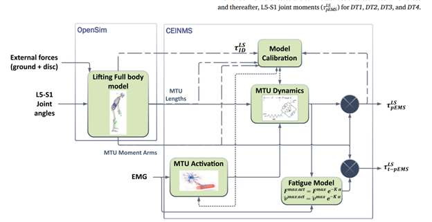 Musculoskeletal Modeling Flowchart