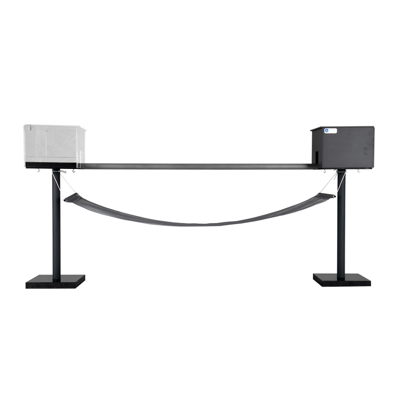 Balance Beam Walking Test