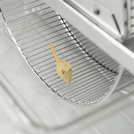 Running Wheel 1800 - close up