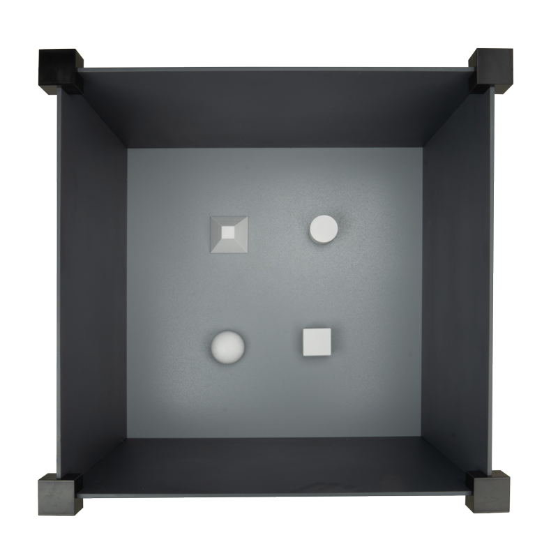 Novel Object Recognition