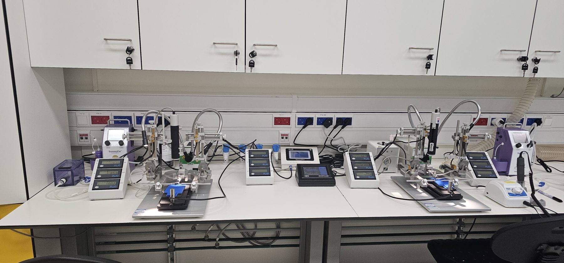 Research Spotlight: RWD Stereotaxic System at the Tal Iram Lab, Weizmann Institute of Science