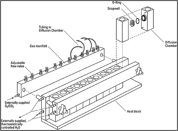 NaviCyte Vertical Ussing chamber illustration