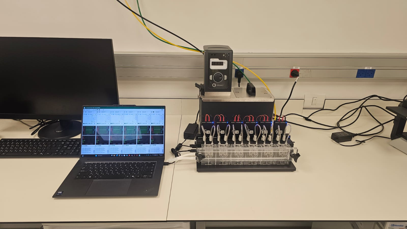 Research Spotlight: Smart Ussing Chamber System at the Elinav Lab, Weizmann Institute of Science