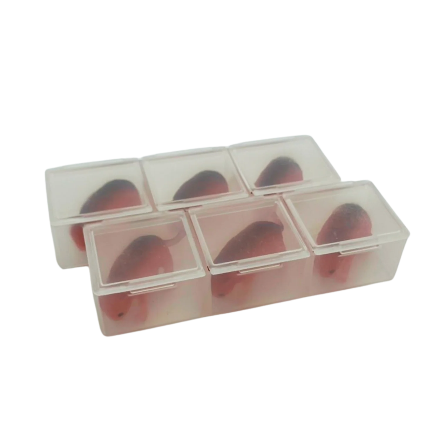 Humaneway™ Neonatal Mouse Simulators