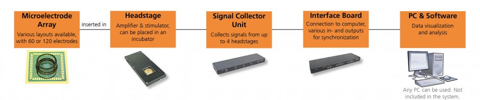 AcadeMEA System – MEA2100-Mini system setup with eGG USB Interface