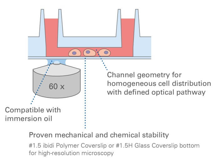 ibidi µ-Slide VI 0.4 – product view