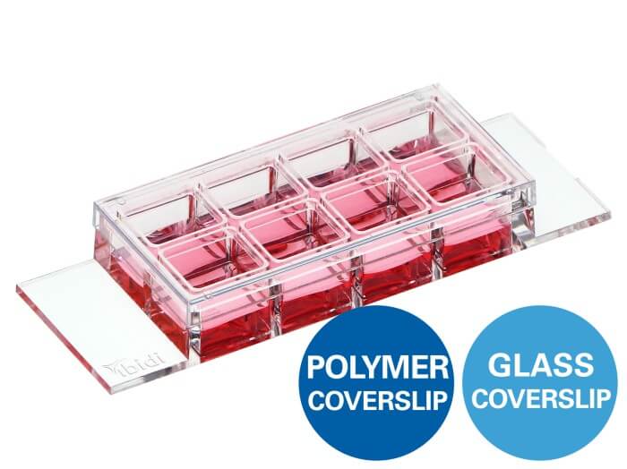 ibidi µ-Slide 8 Well high