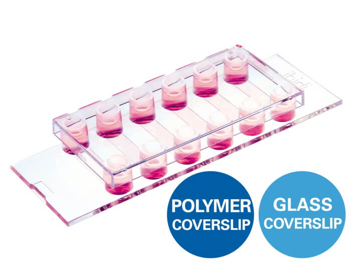 ibidi µ-Slide 2 Well Ph+