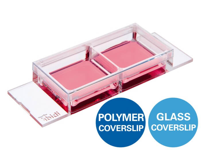 ibidi µ-Slide 1 Well