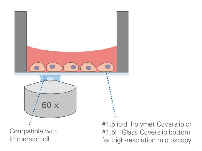 ibidi µ-Slide 18 Well Flat