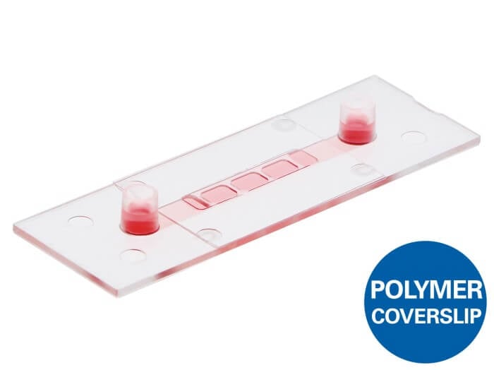 ibidi µ-Slide I Luer 3D