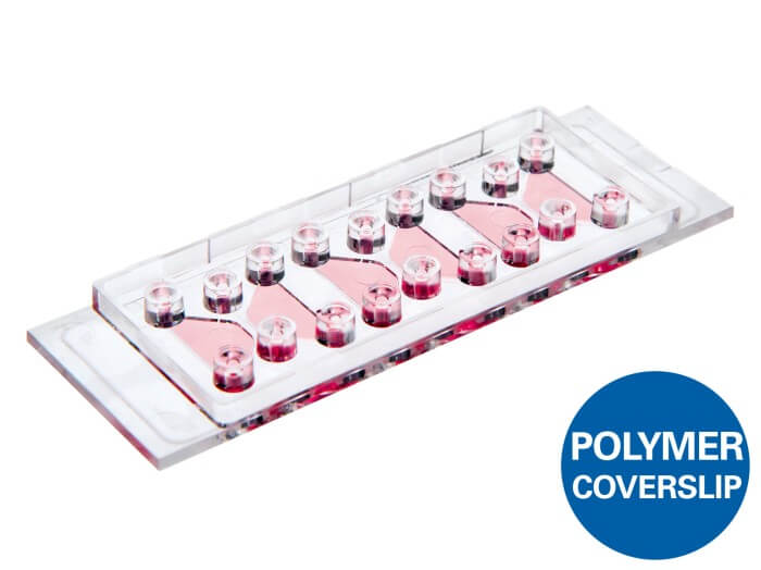 ibidi µ-Slide Chemotaxis