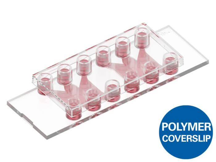 ibidi µ-Slide Tissue Engineering